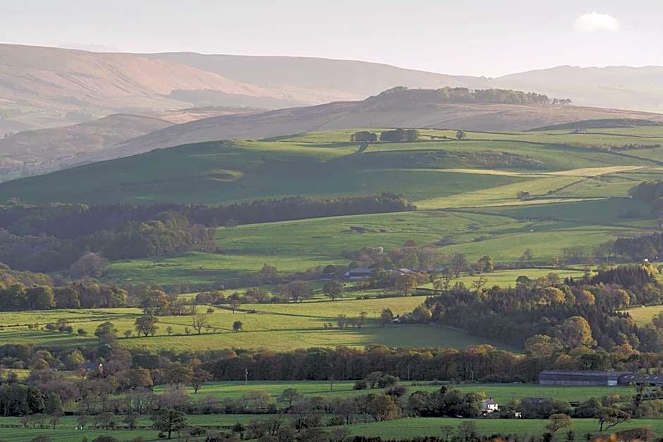 The Avenue Hotel Ltd