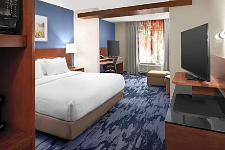 One-Bedroom Studio Suite with Sofa Bed and Roll-in Shower - Mobility and Hearing Accessible