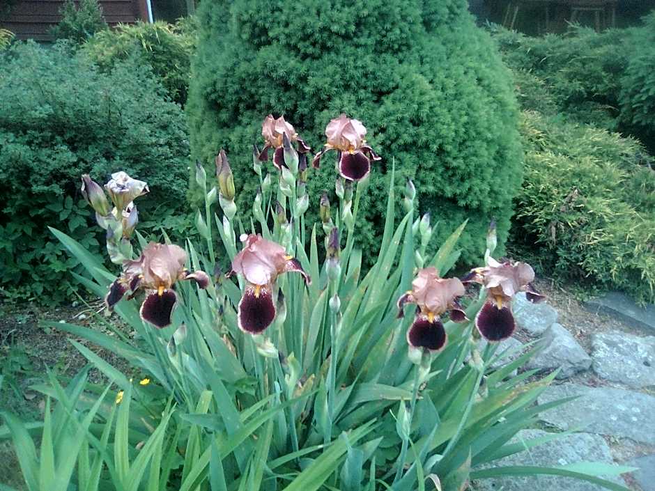 Ośrodek Wczasowy "GRONOSTAJ"