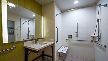 King Room with Roll-In Shower - Handicap Access/Non-Smoking