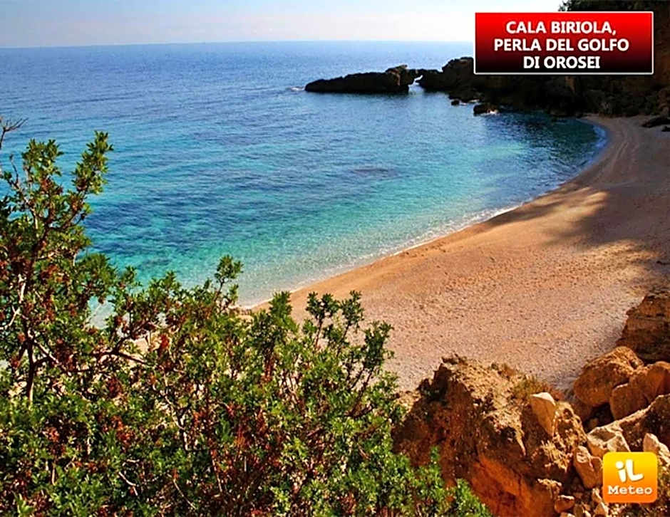 Affittacamere S' Eremu