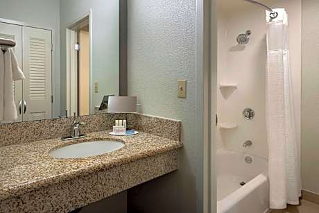 Room, 1 King Bed with Sofa bed (1 King Bed and 1 Double Sofa Bed)