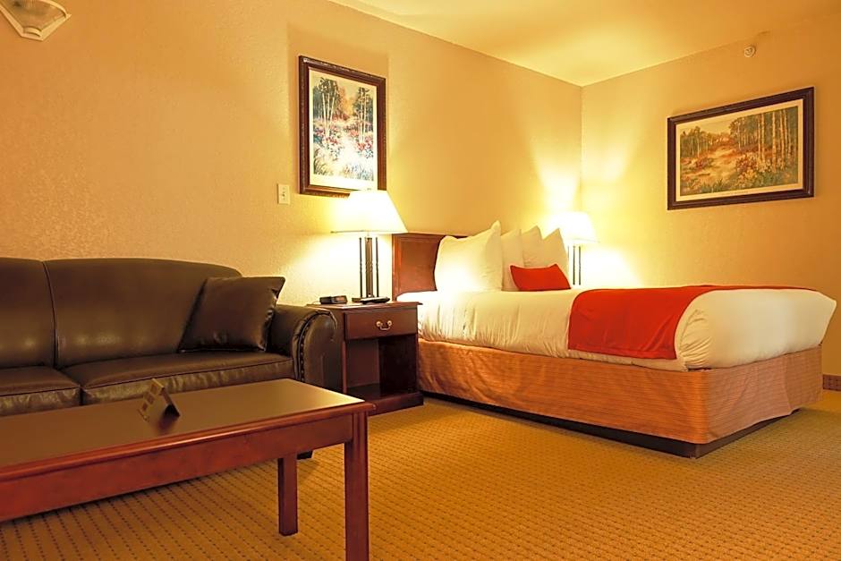 Photo 1 of 12 of 1 Queen Bed, Nonsmoking