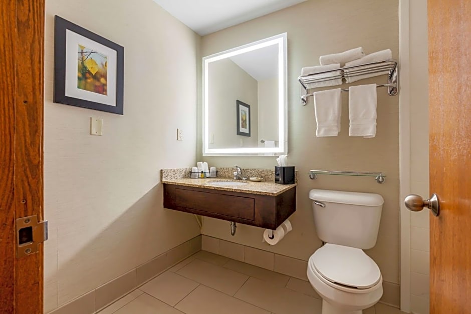 Best Western Plus Dubuque Hotel And Conference Center