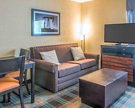 1 King Bed, Suite, Nonsmoking