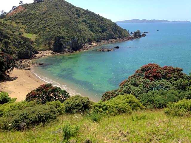 Waiwurrie Coastal Farm Lodge