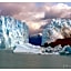 Rochester Calafate