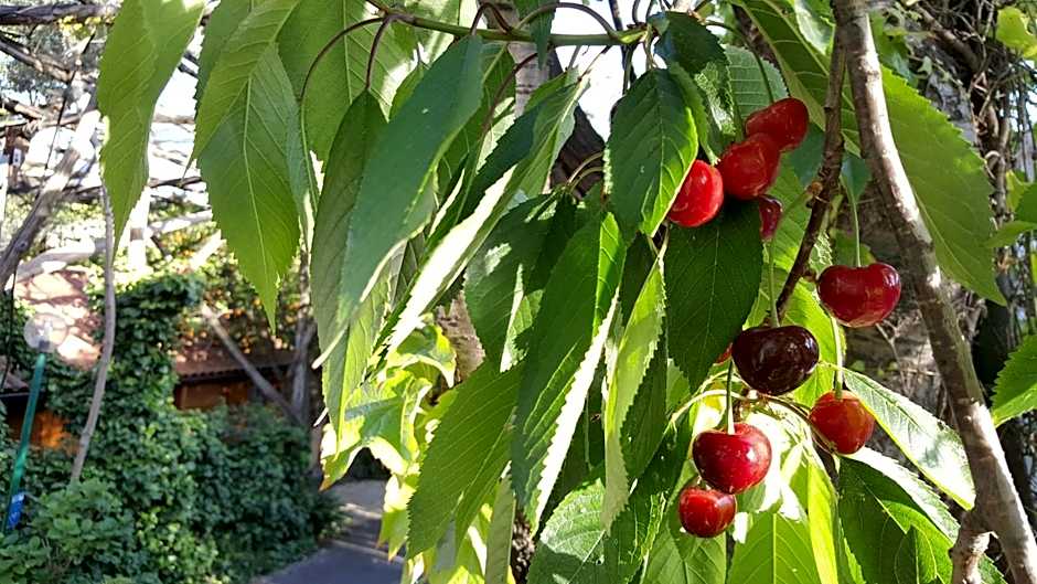 Residence Villaggio Verde