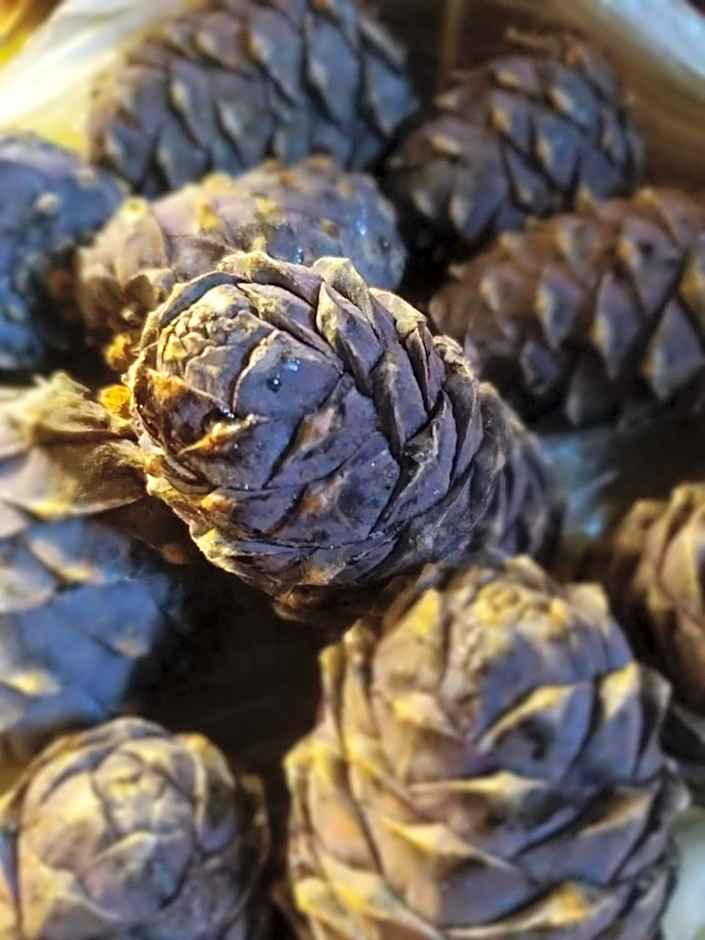 Hotel & Alpengasthof Pinzgerhof