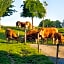 B&B Vroelen-Noorbeek