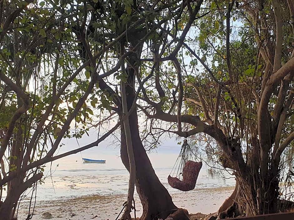 Gecko Nature Lodge Home of Swahili Divers the BEST dive center and Famous Gecko Restaurant