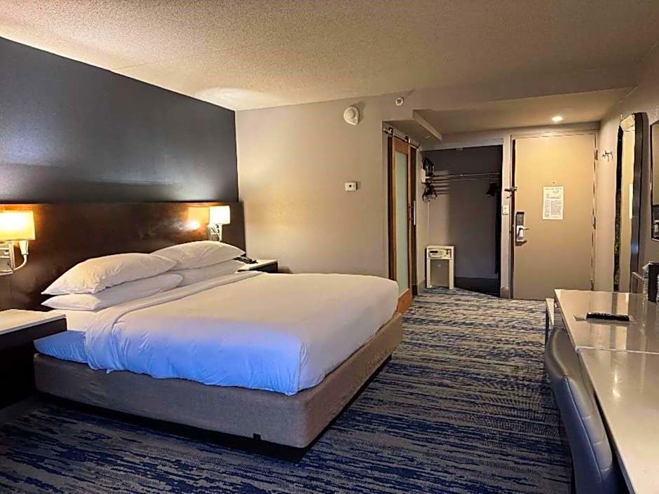Skyline Hotel Detroit Airport, SureStay Collection by Best Western