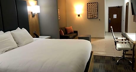 Accessible - Suite King Bed - Mobility Accessible, Communication Assistance, Roll In Shower, Sofabed, Microwave And Refrigerator, Non-Smoking, Full Breakfast