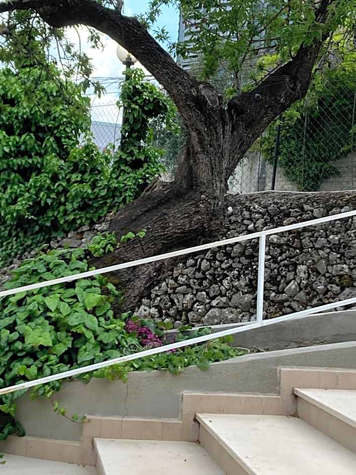 Albergo pensione Bianco