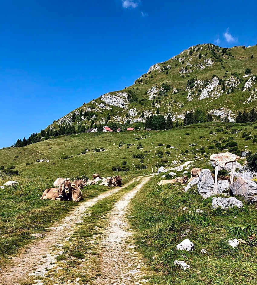 Hisa Rejmr with private parking