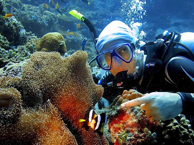 Stingray Beach Inn at Maafushi