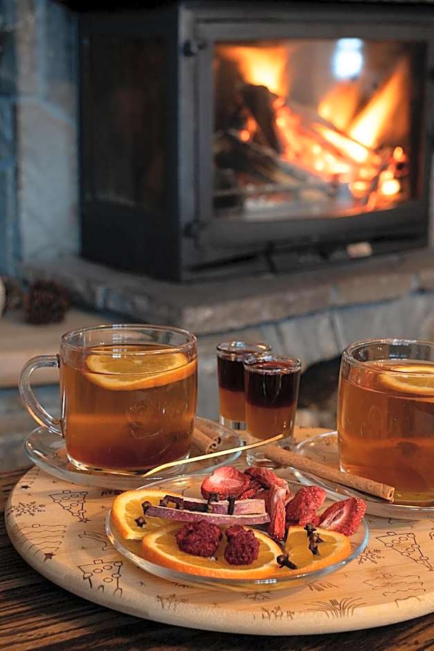 Willa Podhalanka Jacuzzi & sauna - drewniany dom dla 20 osób