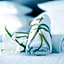 City Center Rooms Piotrkowska 91