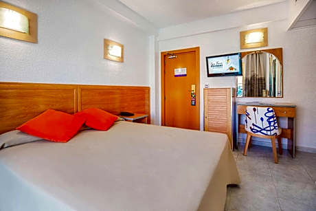 Double or Twin Room (3 Adults)