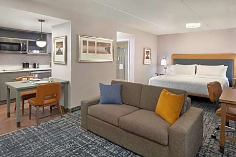 1 King Bed Studio Suite Nonsmoking