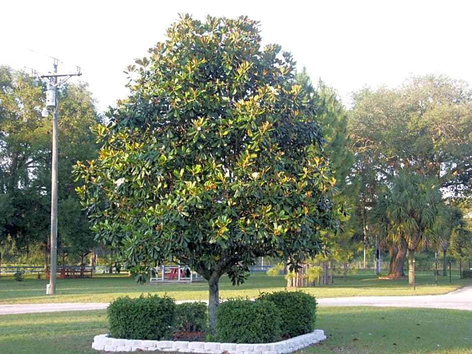 Deerwood Inn & Madison Campground