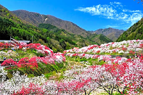 Yura No Yado Seifuen