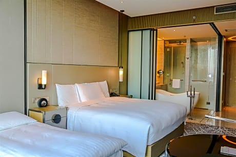 Executive Room, Executive level, Guest room, 2 Twin, City view