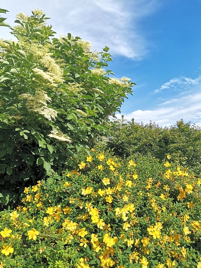 Chambre d'hôtes couvent d'Alando