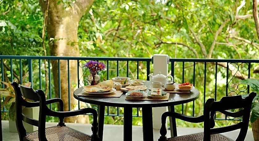 Ceylon Olive