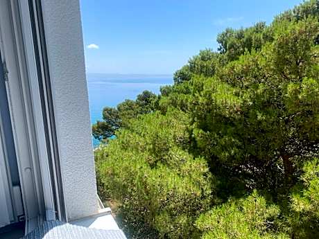 Deluxe Double Room with Garden View