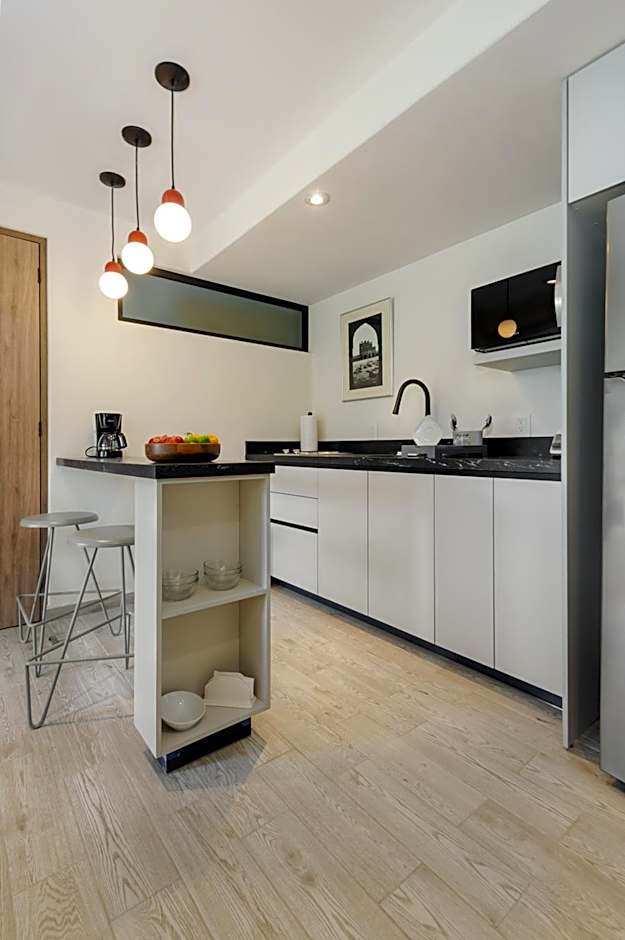 Choapan 28 - Lux Apartments in Condesa