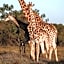 Nyosi Wildlife Reserve