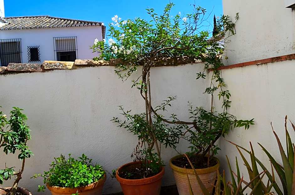 Santa Isabel La Real