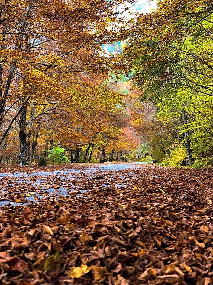 HOTEL HOLIDAYS a Barrea - Natura, Relax e Benessere nel Parco d'Abruzzo