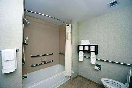 2 Queens Mobility/hearing Access Ri Shwr Ns Vis Firealrm/door/phn Alrt/hdtv Microwv/fridge/free Wi-f