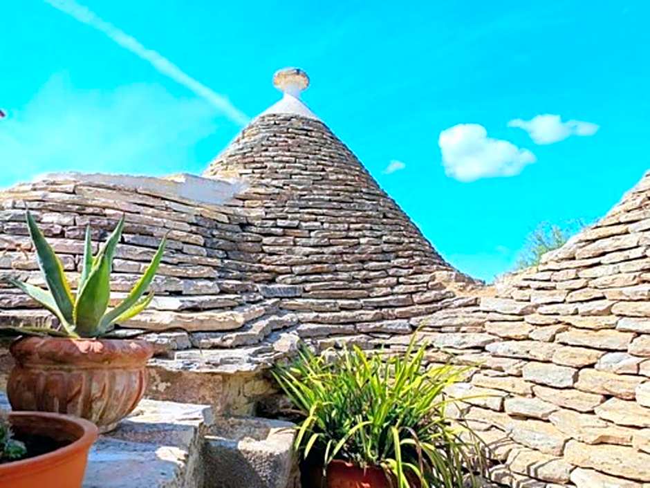 B&B La Rosa dei Trulli Alberobello
