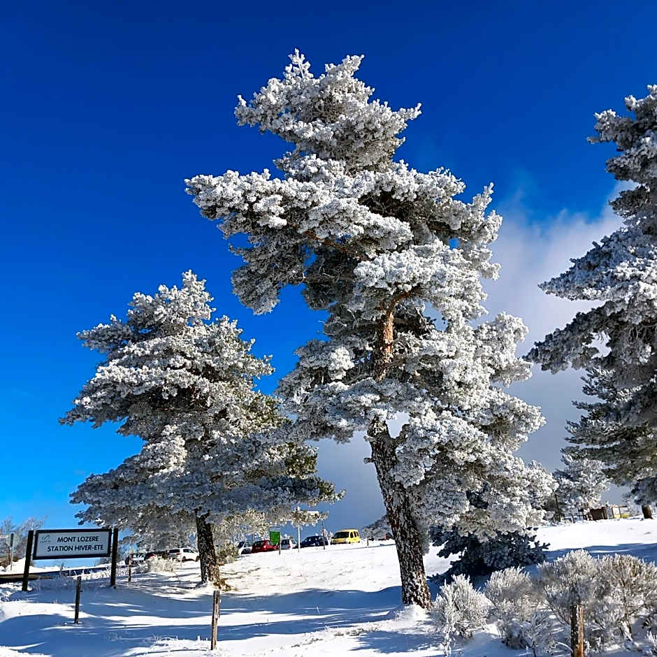 MONTLO RELAIS DES CERFS