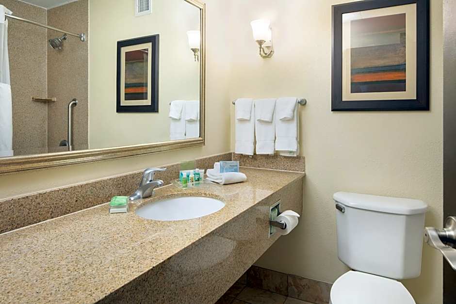 Holiday Inn and Suites Charleston West By IHG