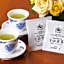 Hotel Amsterdam Huis Ten Bosch
