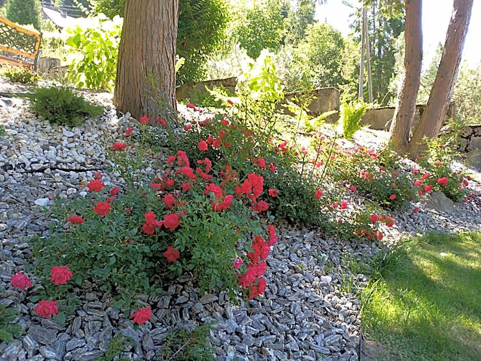 Dom Wczasowy Sokolica