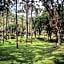 Pousada Caminhos da Natureza