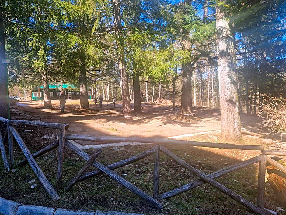 ACAMPORA CIRO Appartamento Privato Club Primula