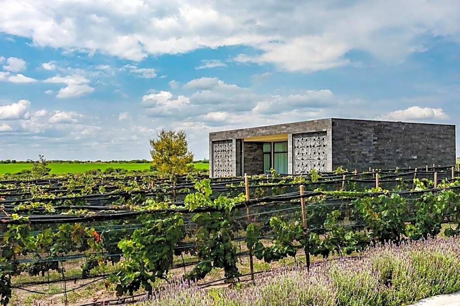 Casa Raíces Hotel Luxury & Viñedo