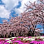 Lake Villa Kawaguchiko