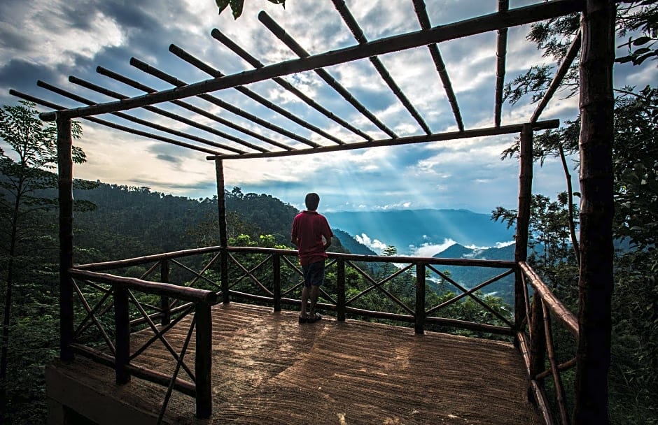 After the Rains - Rainforest Lodge