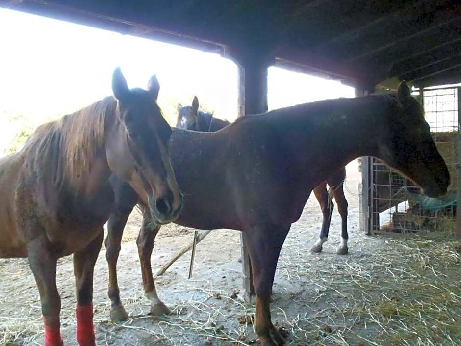 B&B Villa Sans Souci