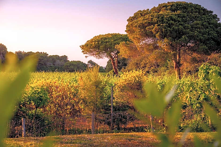 Masseria Mongio dell'Elefante