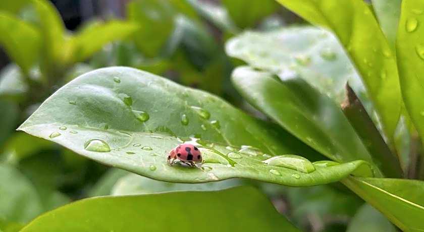 Victory Seaside Home powered by Cocotel