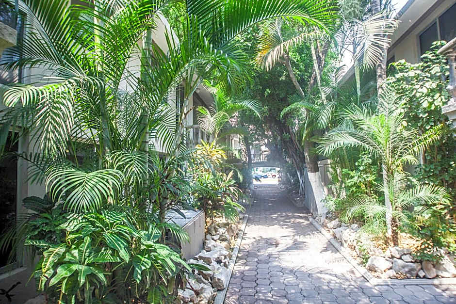 Suites Lafragua