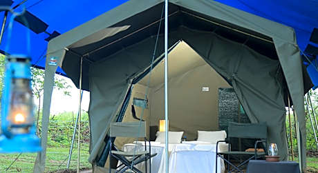 Family Glamping bordering Yala with a Guided Safari